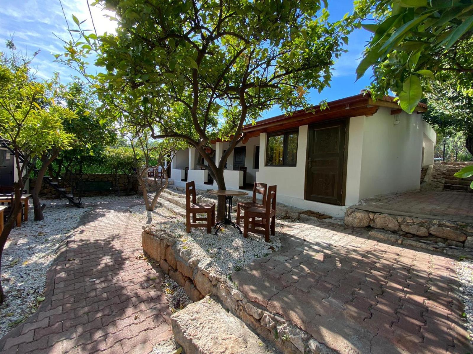 Ekin Pansiyon Kaleucagız Exterior foto